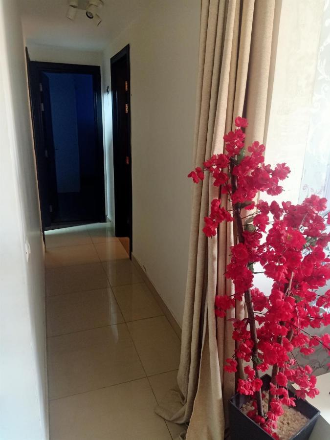 Fully Furnished Apartment At Ocean Blue Compound 开罗 外观 照片